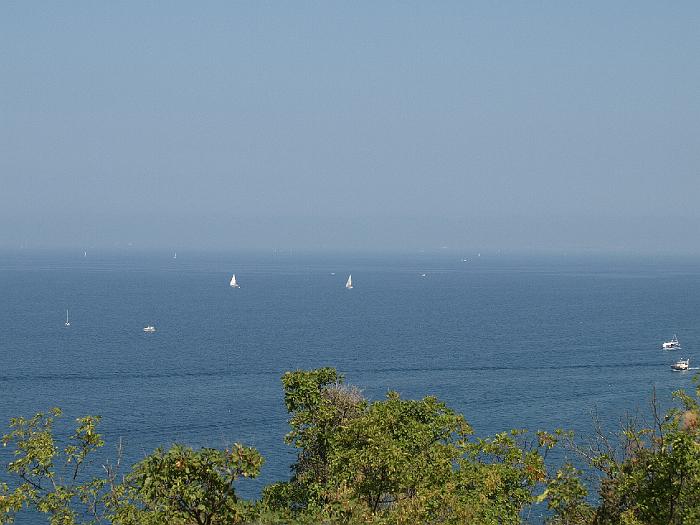 P9103089