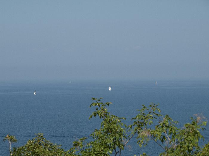 P9103090
