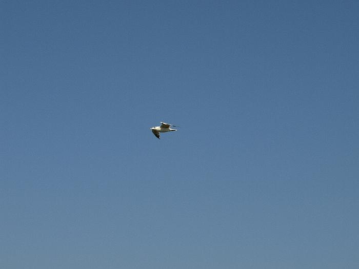 P9103200