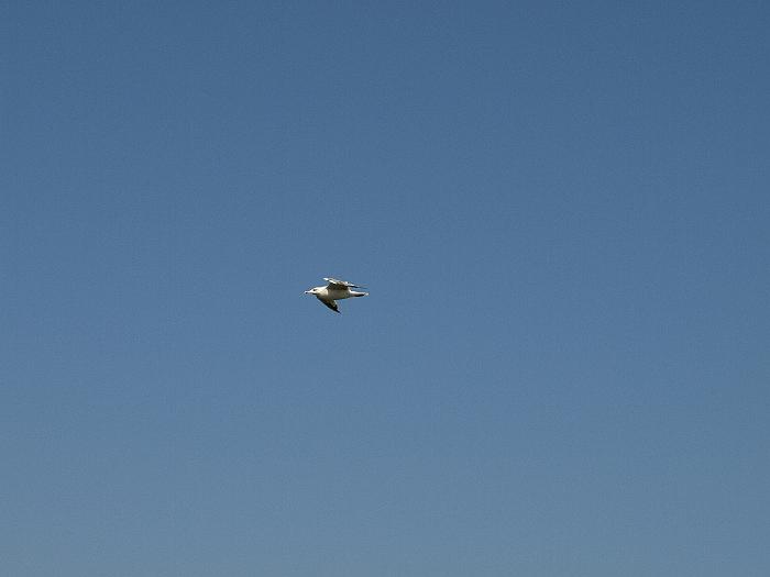 P9103201